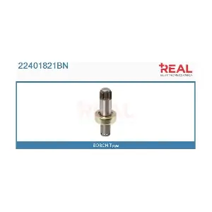 22401821BN REAL