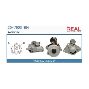 20479031BN REAL