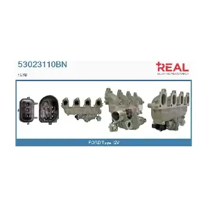 53023110BN REAL