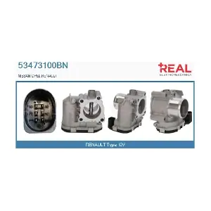 53473100BN REAL