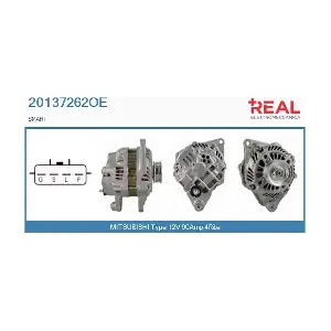 20137262OE REAL