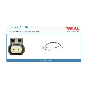 8025581FBN REAL