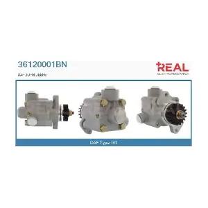 36120001BN REAL