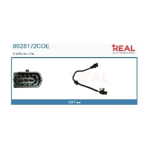8028172COE REAL