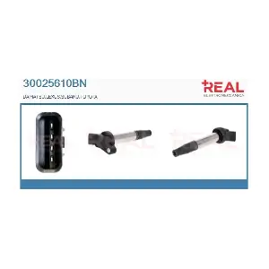 30025610BN REAL