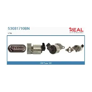 53081710BN REAL
