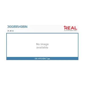 30089540BN REAL