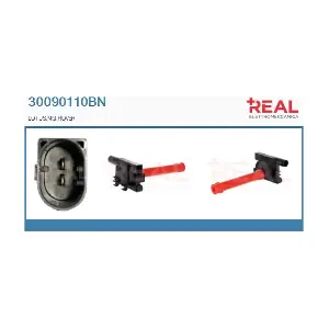 30090110BN REAL
