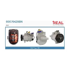 60076420BN REAL