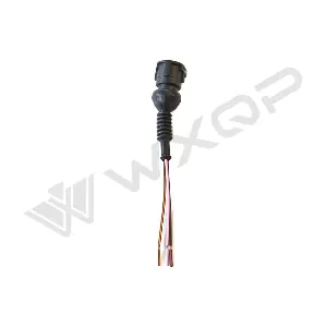 353299 WXQP