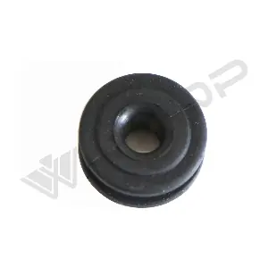 181561 WXQP
