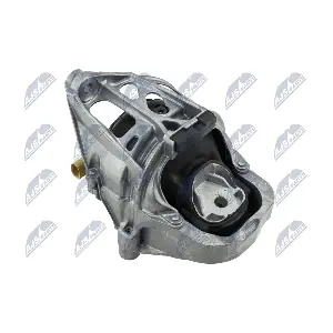 ZPS-AU-019 NTY