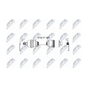 NPW-CT-001 NTY