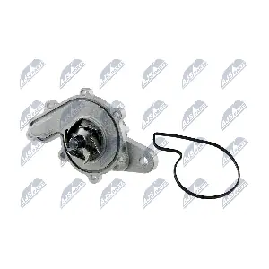 CPW-ME-047 NTY