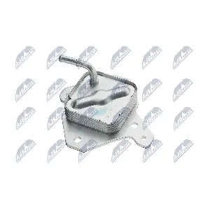 NTY CCL-TY-002