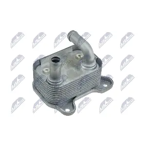 CCL-PL-036 NTY