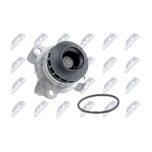 CPW-NS-081 NTY