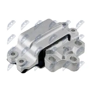 ZPS-VW-029 NTY