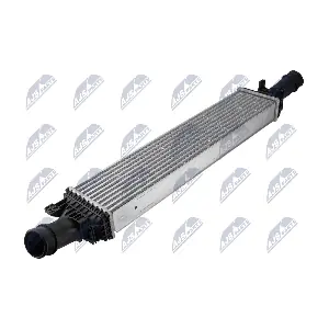 NTY CNG-AU-029
