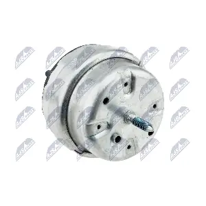 ZPS-AU-008 NTY