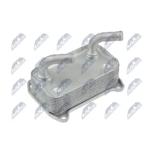 NTY CCL-VV-009