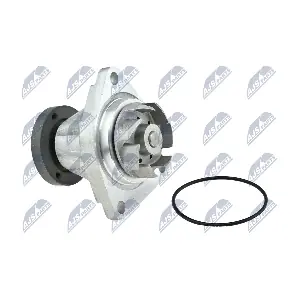 CPW-PL-027 NTY