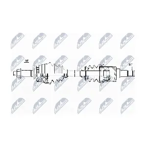 NPW-SU-031 NTY