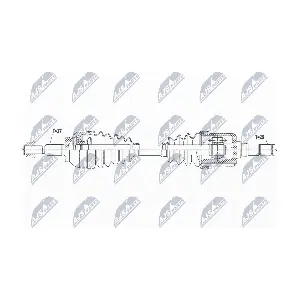 NPW-FR-161 NTY