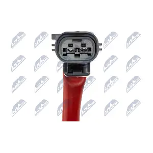 BWP-CT-001 NTY