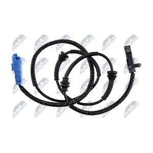 HCA-CT-004 NTY