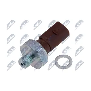ECC-AU-004 NTY