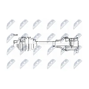 NPW-AU-008 NTY