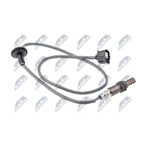 ESL-CT-005 NTY