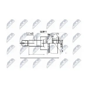 NPZ-HY-539 NTY