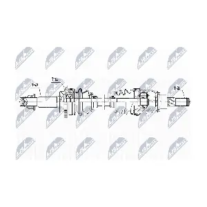 NPW-NS-166 NTY