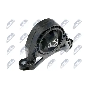 ZPS-PL-011 NTY