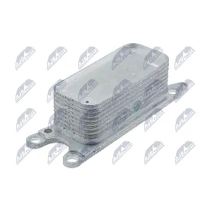 NTY CCL-CH-015