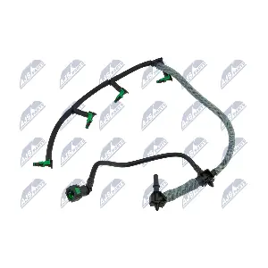 BPP-FR-003 NTY