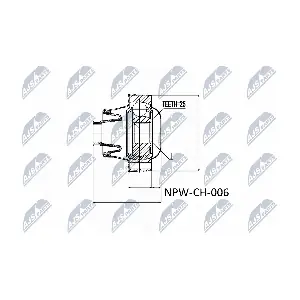 NPW-CH-006 NTY