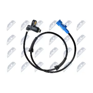 HCA-PE-001 NTY
