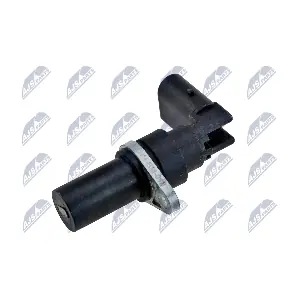 ECP-BM-018 NTY