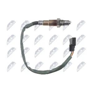 ESL-RE-015 NTY