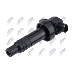 ECZ-HY-504 NTY