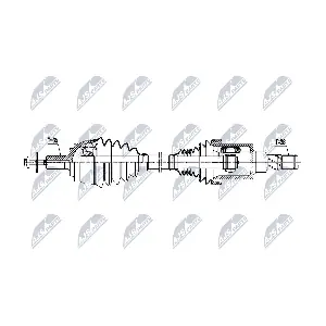 NPW-VV-170 NTY