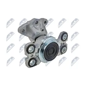 ZPS-VV-021 NTY