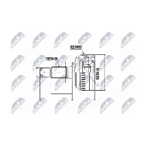NPZ-RV-004 NTY
