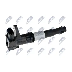 ECZ-AR-007 NTY