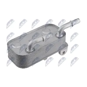 CCL-BM-102 NTY
