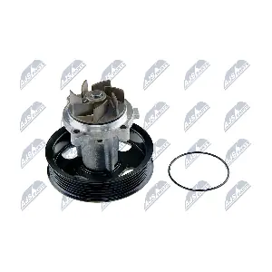 CPW-CT-036 NTY