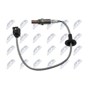 ESL-CT-006 NTY
